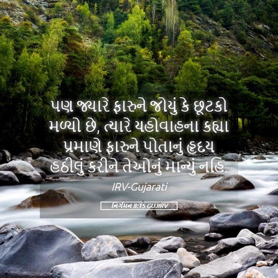 Picture 05 - નિર્ગમન 8:15 GUJIRV - પણ જ્યારે ફારુને - Bible Verse Picture