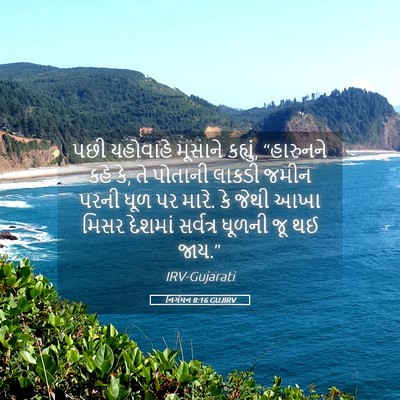 Picture 05 - નિર્ગમન 8:16 GUJIRV - પછી યહોવાહે - Bible Verse Picture