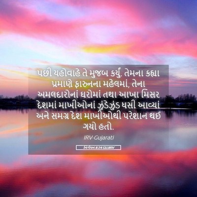 Picture 05 - નિર્ગમન 8:24 GUJIRV - પછી યહોવાહે તે - Bible Verse Picture