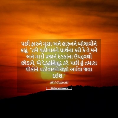 Picture 05 - નિર્ગમન 8:8 GUJIRV - પછી ફારુને મૂસા - Bible Verse Picture
