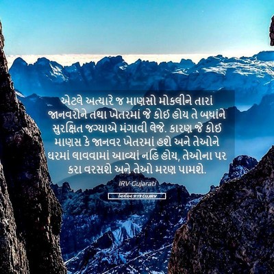 Picture 05 - નિર્ગમન 9:19 GUJIRV - એટલે અત્યારે જ - Bible Verse Picture