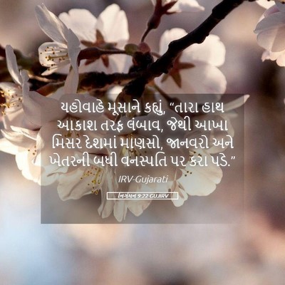 Picture 05 - નિર્ગમન 9:22 GUJIRV - યહોવાહે મૂસાને - Bible Verse Picture