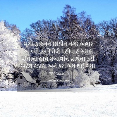 Picture 05 - નિર્ગમન 9:33 GUJIRV - મૂસા ફારુનને - Bible Verse Picture