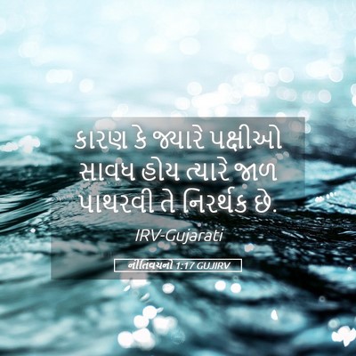 Picture 05 - નીતિવચનો 1:17 GUJIRV - કારણ કે જ્યારે - Bible Verse Picture