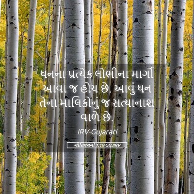 Picture 05 - નીતિવચનો 1:19 GUJIRV - ધનના પ્રત્યેક - Bible Verse Picture