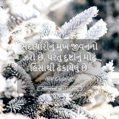 Picture 05 - નીતિવચનો 10:11 GUJIRV - સદાચારીનું મુખ - Bible Verse Picture