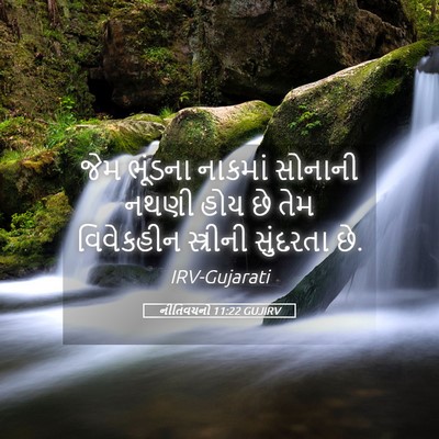 Picture 05 - નીતિવચનો 11:22 GUJIRV - જેમ ભૂંડના નાકમાં - Bible Verse Picture