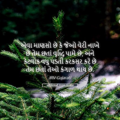 Picture 05 - નીતિવચનો 11:24 GUJIRV - એવા માણસો છે કે જેઓ - Bible Verse Picture