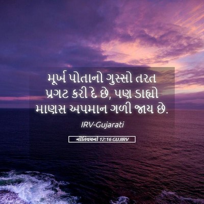 Picture 05 - નીતિવચનો 12:16 GUJIRV - મૂર્ખ પોતાનો - Bible Verse Picture