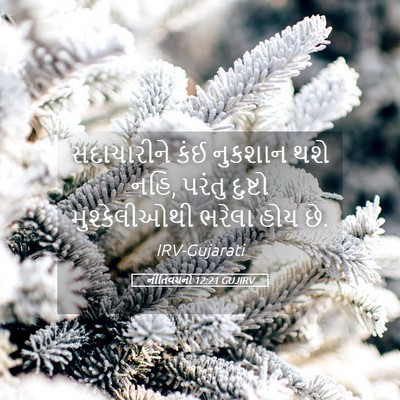 Picture 05 - નીતિવચનો 12:21 GUJIRV - સદાચારીને કંઈ - Bible Verse Picture