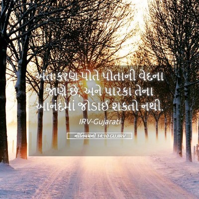 Picture 05 - નીતિવચનો 14:10 GUJIRV - અંતઃકરણ પોતે - Bible Verse Picture