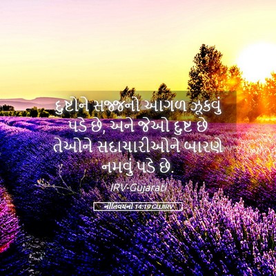 Picture 05 - નીતિવચનો 14:19 GUJIRV - દુષ્ટોને સજ્જનો - Bible Verse Picture
