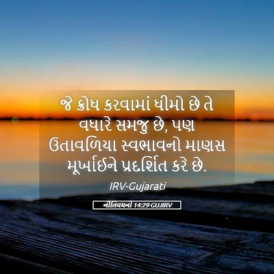 Picture 05 - નીતિવચનો 14:29 GUJIRV - જે ક્રોધ કરવામાં - Bible Verse Picture