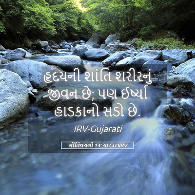 Picture 05 - નીતિવચનો 14:30 GUJIRV - હૃદયની શાંતિ - Bible Verse Picture