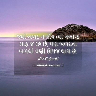Picture 05 - નીતિવચનો 14:4 GUJIRV - જ્યાં બળદ ન હોય - Bible Verse Picture