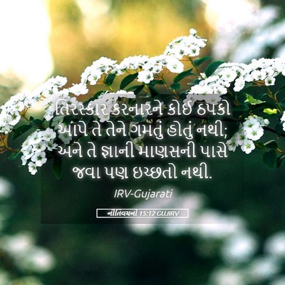Picture 05 - નીતિવચનો 15:12 GUJIRV - તિરસ્કાર કરનારને - Bible Verse Picture