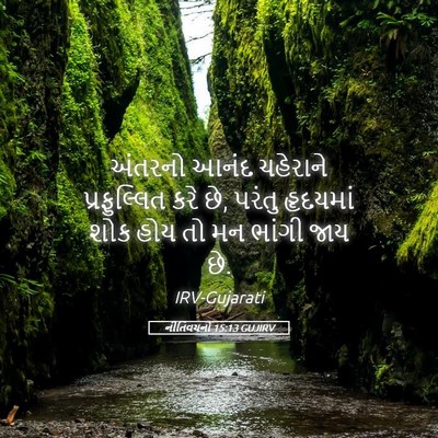 Picture 05 - નીતિવચનો 15:13 GUJIRV - અંતરનો આનંદ - Bible Verse Picture