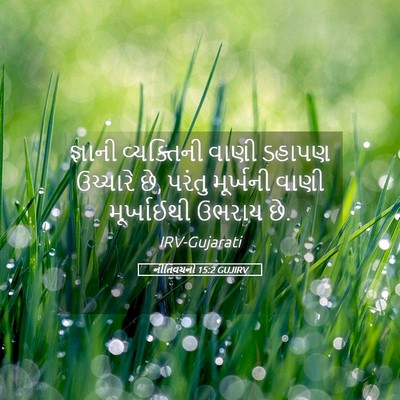 Picture 05 - નીતિવચનો 15:2 GUJIRV - જ્ઞાની વ્યક્તિની - Bible Verse Picture