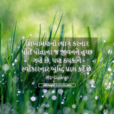 Picture 05 - નીતિવચનો 15:32 GUJIRV - શિખામણનો ત્યાગ - Bible Verse Picture
