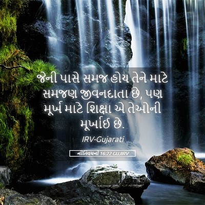 Picture 05 - નીતિવચનો 16:22 GUJIRV - જેની પાસે સમજ હોય - Bible Verse Picture