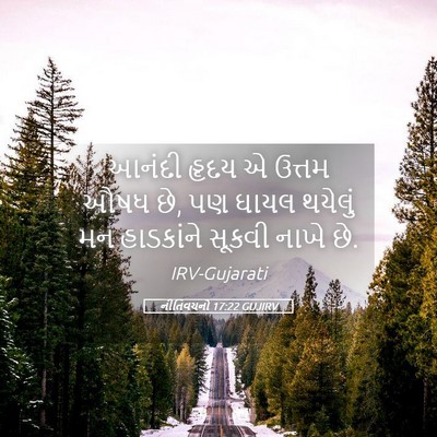 Picture 05 - નીતિવચનો 17:22 GUJIRV - આનંદી હૃદય એ ઉત્તમ - Bible Verse Picture