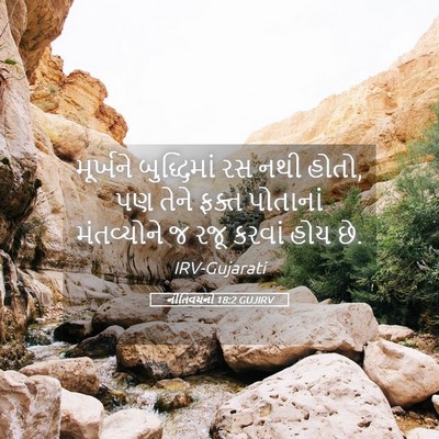 Picture 05 - નીતિવચનો 18:2 GUJIRV - મૂર્ખને બુદ્ધિમાં - Bible Verse Picture