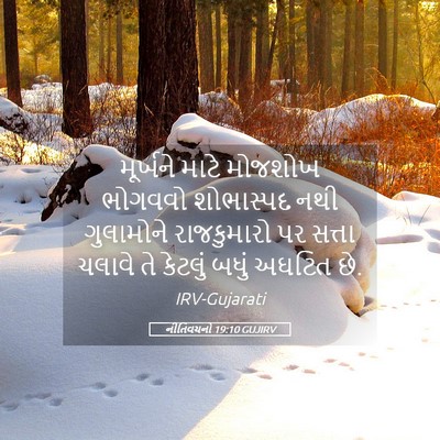 Picture 05 - નીતિવચનો 19:10 GUJIRV - મૂર્ખને માટે - Bible Verse Picture