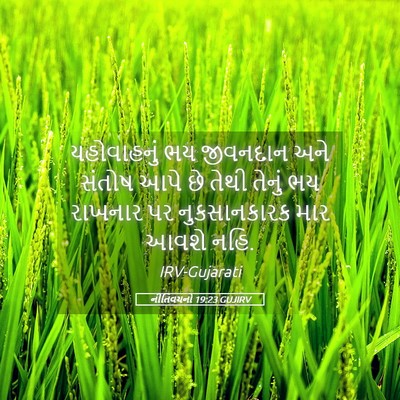 Picture 05 - નીતિવચનો 19:23 GUJIRV - યહોવાહનું ભય - Bible Verse Picture