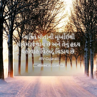 Picture 05 - નીતિવચનો 19:3 GUJIRV - વ્યક્તિ પોતાની - Bible Verse Picture