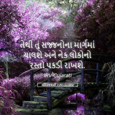Picture 05 - નીતિવચનો 2:20 GUJIRV - તેથી તું સજ્જનોના - Bible Verse Picture