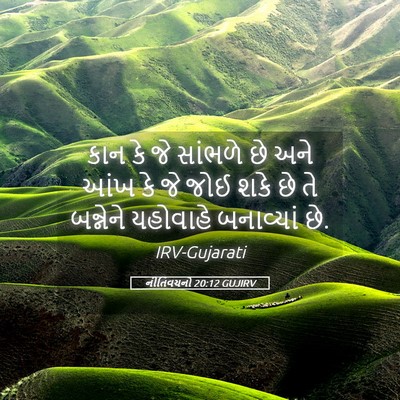 Picture 05 - નીતિવચનો 20:12 GUJIRV - કાન કે જે સાંભળે છે - Bible Verse Picture