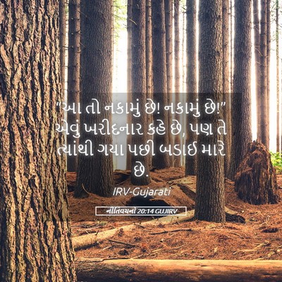 Picture 05 - નીતિવચનો 20:14 GUJIRV - “આ તો નકામું છે! - Bible Verse Picture