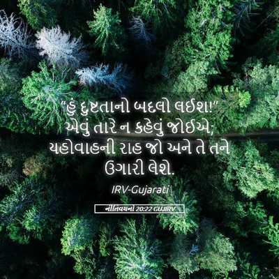 Picture 05 - નીતિવચનો 20:22 GUJIRV - “હું દુષ્ટતાનો - Bible Verse Picture