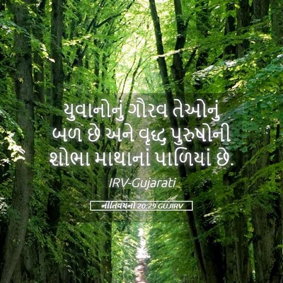 Picture 05 - નીતિવચનો 20:29 GUJIRV - યુવાનોનું ગૌરવ - Bible Verse Picture