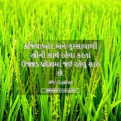 Picture 05 - નીતિવચનો 21:19 GUJIRV - કજિયાખોર અને - Bible Verse Picture