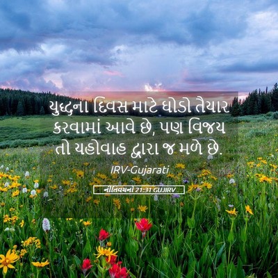 Picture 05 - નીતિવચનો 21:31 GUJIRV - યુદ્ધના દિવસ માટે - Bible Verse Picture