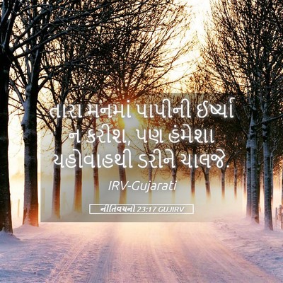 Picture 05 - નીતિવચનો 23:17 GUJIRV - તારા મનમાં પાપીની - Bible Verse Picture