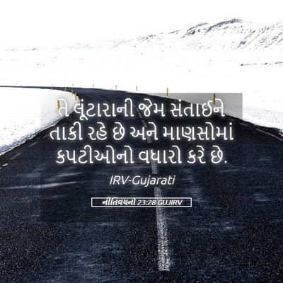 Picture 05 - નીતિવચનો 23:28 GUJIRV - તે લૂંટારાની જેમ - Bible Verse Picture