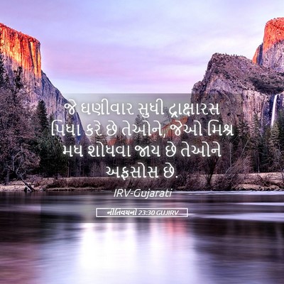 Picture 05 - નીતિવચનો 23:30 GUJIRV - જે ઘણીવાર સુધી - Bible Verse Picture