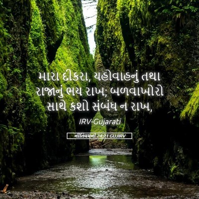 Picture 05 - નીતિવચનો 24:21 GUJIRV - મારા દીકરા, - Bible Verse Picture