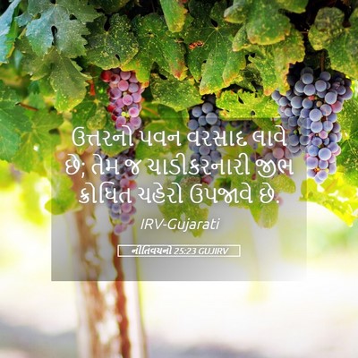 Picture 05 - નીતિવચનો 25:23 GUJIRV - ઉત્તરનો પવન વરસાદ - Bible Verse Picture