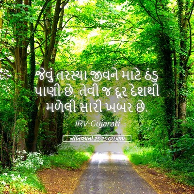 Picture 05 - નીતિવચનો 25:25 GUJIRV - જેવું તરસ્યા - Bible Verse Picture