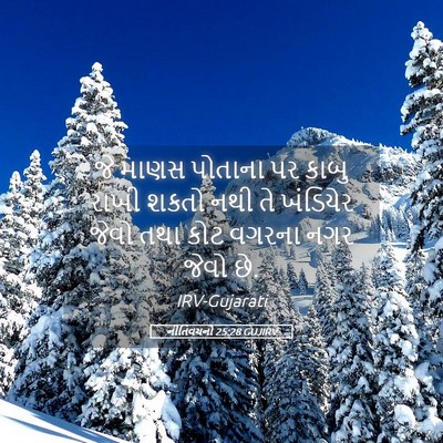 Picture 05 - નીતિવચનો 25:28 GUJIRV - જે માણસ પોતાના પર - Bible Verse Picture