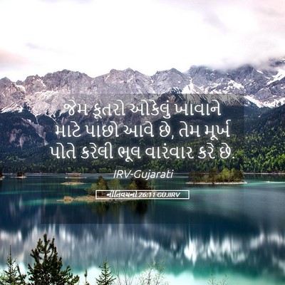 Picture 05 - નીતિવચનો 26:11 GUJIRV - જેમ કૂતરો ઓકેલું - Bible Verse Picture