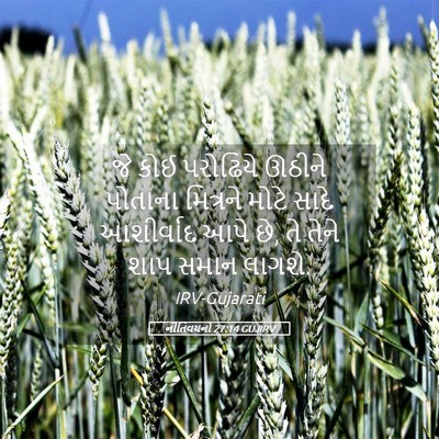 Picture 05 - નીતિવચનો 27:14 GUJIRV - જે કોઈ પરોઢિયે - Bible Verse Picture