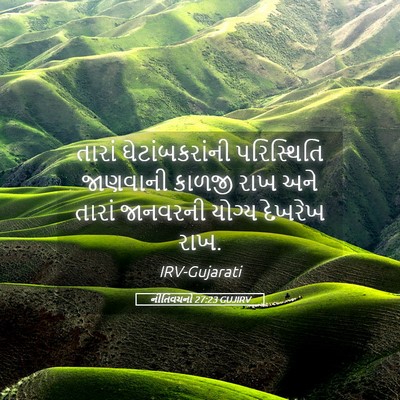 Picture 05 - નીતિવચનો 27:23 GUJIRV - તારાં - Bible Verse Picture