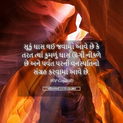Picture 05 - નીતિવચનો 27:25 GUJIRV - સૂકું ઘાસ લઈ - Bible Verse Picture