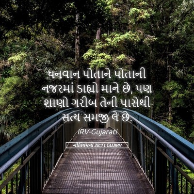 Picture 05 - નીતિવચનો 28:11 GUJIRV - ધનવાન પોતાને - Bible Verse Picture