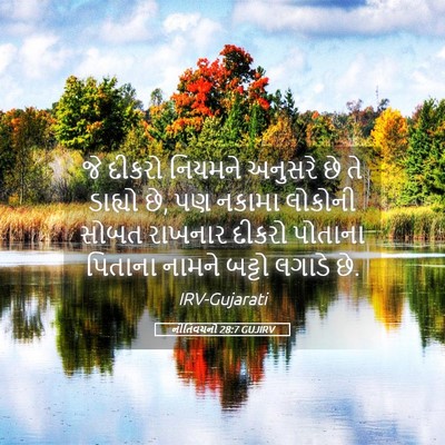 Picture 05 - નીતિવચનો 28:7 GUJIRV - જે દીકરો નિયમને - Bible Verse Picture
