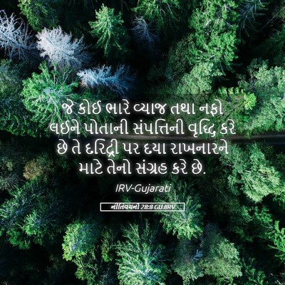 Picture 05 - નીતિવચનો 28:8 GUJIRV - જે કોઈ ભારે વ્યાજ - Bible Verse Picture